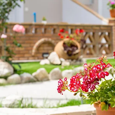 Asteri * Kalamaki (Zakynthos)